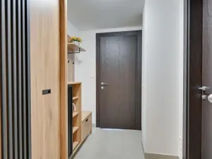 Pronájem bytu 2+kk, Olomouc - Nová Ulice, Třída Jiřího Pelikána, 56 m2