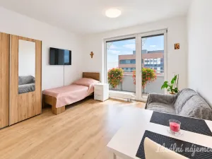 Prodej bytu 1+kk, Brno, Jižní, 34 m2