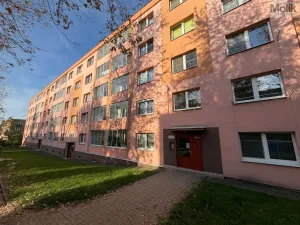 Prodej bytu 3+1, Most, Obránců míru, 68 m2