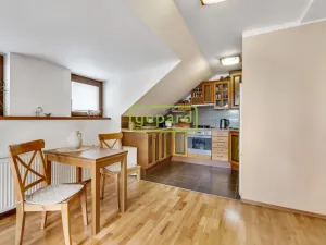 Prodej vícegeneračního domu, Přelouč, Na Vyšehradě, 353 m2