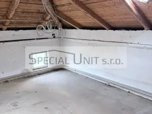 Prodej rodinného domu, Dobrovice - Holé Vrchy, 250 m2