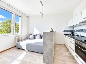Prodej bytu 1+kk, Ústí nad Labem - Ústí nad Labem-centrum, SNP, 21 m2