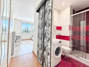 Prodej bytu 1+kk, Ústí nad Labem - Ústí nad Labem-centrum, SNP, 21 m2