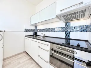 Prodej bytu 1+kk, Ústí nad Labem - Ústí nad Labem-centrum, SNP, 21 m2
