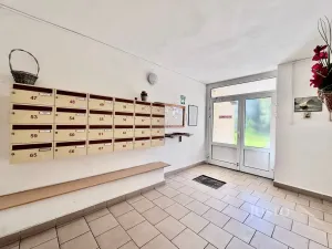 Prodej bytu 1+kk, Ústí nad Labem - Ústí nad Labem-centrum, SNP, 21 m2