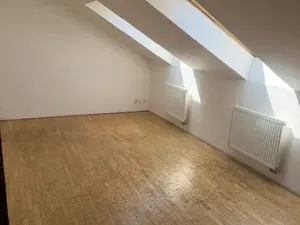 Prodej bytu 3+kk, Praha - Nové Město, Jungmannova, 138 m2