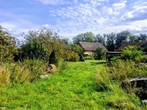 Prodej zemědělského objektu, Loučany, 250 m2