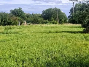 Prodej zemědělského objektu, Loučany, 250 m2