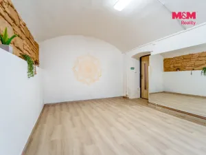 Pronájem obchodního prostoru, Plzeň - Východní Předměstí, Radyňská, 109 m2