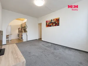 Prodej bytu 2+kk, Praha - Braník, Novodvorská, 40 m2
