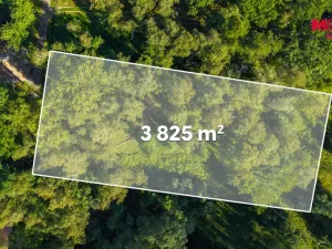 Prodej pozemku pro bydlení, Hradištko, 3825 m2