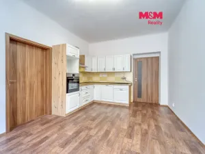 Pronájem bytu 2+kk, Plzeň - Jižní Předměstí, Čechova, 52 m2