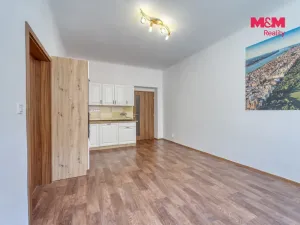 Pronájem bytu 2+kk, Plzeň - Jižní Předměstí, Čechova, 52 m2