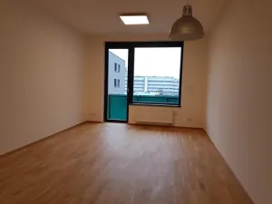 Pronájem bytu 2+kk, Praha - Holešovice, Argentinská, 60 m2