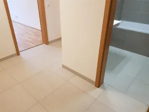 Pronájem bytu 2+kk, Praha - Holešovice, Argentinská, 60 m2