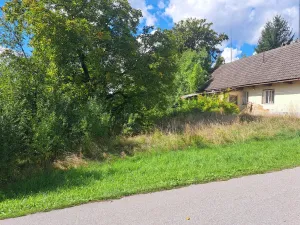 Prodej pozemku, Nemojov - Nový Nemojov, 3619 m2