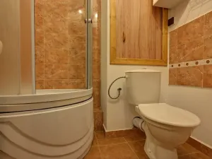 Pronájem bytu 1+1, Rokytnice nad Jizerou - Horní Rokytnice, 37 m2