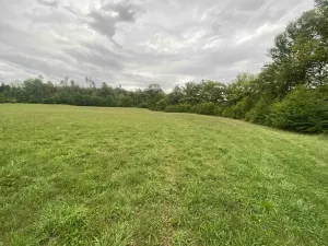 Dražba louky, Potštejn, 950 m2