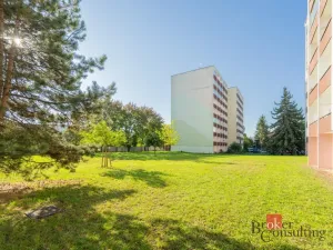 Prodej bytu 2+1, Mladá Boleslav - Mladá Boleslav II, Palackého, 64 m2
