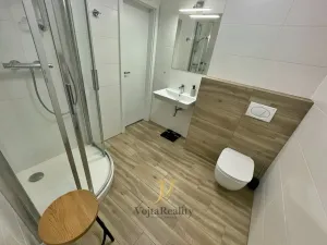 Pronájem bytu 1+1, Olomouc, Bořivojova, 50 m2