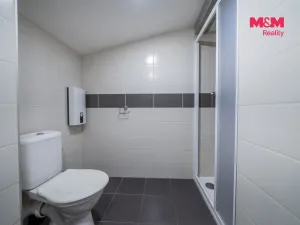 Prodej bytu 1+kk, Ostružná - Ramzová, 30 m2