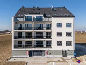 Prodej bytu 2+kk, České Budějovice - České Budějovice 3, K. Šatala, 46 m2