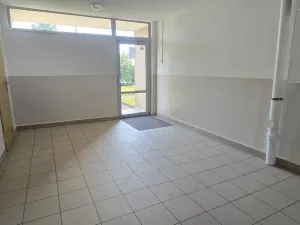 Pronájem bytu 1+1, Ústí nad Labem - Severní Terasa, Kmochova, 47 m2