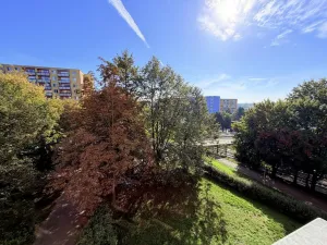 Prodej bytu 1+kk, Brno - Bohunice, Okrouhlá, 33 m2
