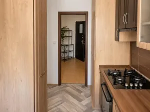 Pronájem bytu 4+1, Ústí nad Labem - Krásné Březno, Dr. Horákové, 77 m2