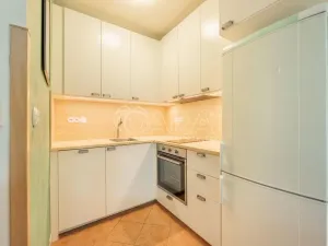Pronájem bytu 1+kk, Praha - Štěrboholy, Andersenova, 38 m2