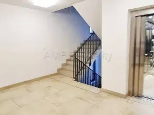 Pronájem bytu 4+kk, Praha - Žižkov, Kališnická, 99 m2