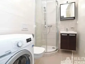 Pronájem bytu 1+kk, Praha - Vinohrady, Řipská, 30 m2