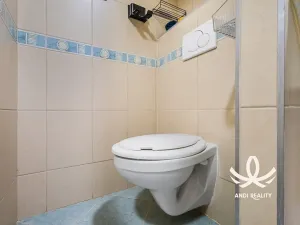 Pronájem bytu 2+kk, Mladá Boleslav, tř. Václava Klementa, 41 m2