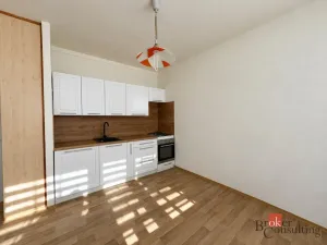 Pronájem bytu 2+kk, Opava - Kateřinky, Rolnická, 41 m2