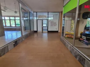 Pronájem obchodního prostoru, Orlová - Lutyně, F. S. Tůmy, 214 m2