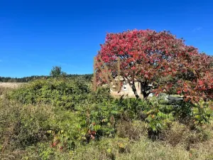 Prodej rodinného domu, Hazlov - Výhledy, 65 m2