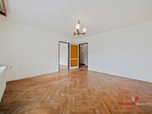 Prodej bytu 3+1, Třebechovice pod Orebem, Habrmanova, 62 m2