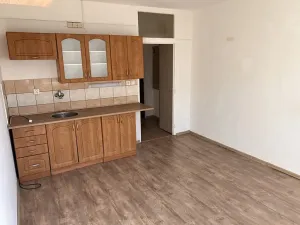 Pronájem bytu 1+kk, Chodov, Jiráskova, 21 m2
