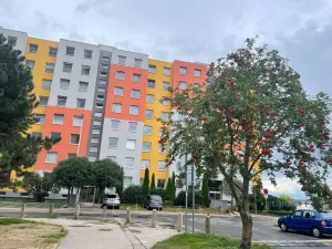 Pronájem bytu 1+kk, Praha - Chodov, Nad Opatovem, 31 m2