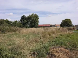 Prodej pozemku pro bydlení, Vyžice, 1205 m2