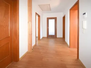Pronájem rodinného domu, Plzeň - Újezd, Staroveská, 250 m2