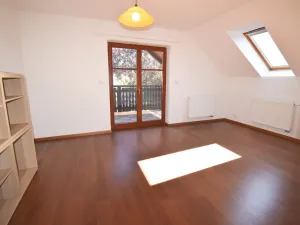 Pronájem rodinného domu, Plzeň - Újezd, Staroveská, 250 m2