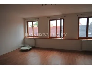 Pronájem bytu 1+kk, České Budějovice - České Budějovice 3, Fráni Šrámka, 30 m2