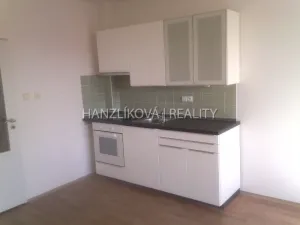 Pronájem bytu 1+kk, České Budějovice - České Budějovice 3, Fráni Šrámka, 30 m2