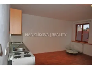 Pronájem bytu 1+kk, České Budějovice - České Budějovice 3, Fráni Šrámka, 30 m2