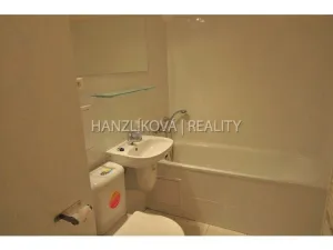 Pronájem bytu 1+kk, České Budějovice - České Budějovice 3, Fráni Šrámka, 30 m2