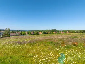 Prodej pozemku pro bydlení, Litvínovice - Šindlovy Dvory, 1002 m2