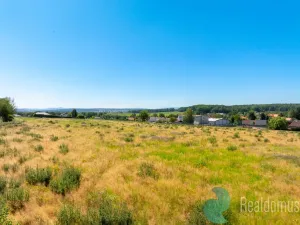Prodej pozemku pro bydlení, Litvínovice - Šindlovy Dvory, 1002 m2