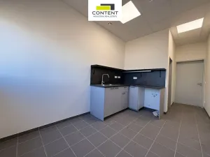 Pronájem výrobních prostor, Kladno - Dubí, Dubská, 1026 m2