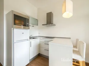 Pronájem bytu 1+kk, Praha - Vysočany, Poděbradská, 33 m2